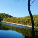 Beaver Lake from the shade of the trees