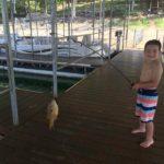 Young boy shows off fish from Beaver lake fishing