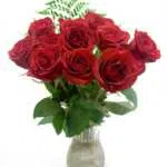 Red roses