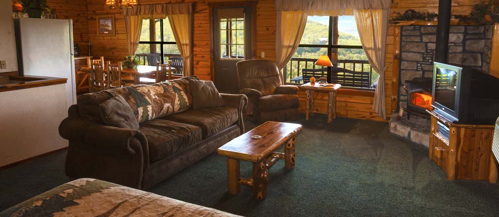 Cabin seating area with wood stove and television