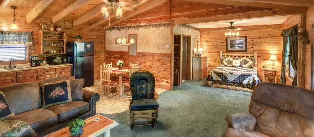 living room interior of Cabin