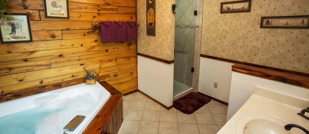Cabin bathroom with shower
